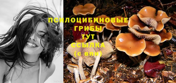 ALPHA PVP Каменногорск