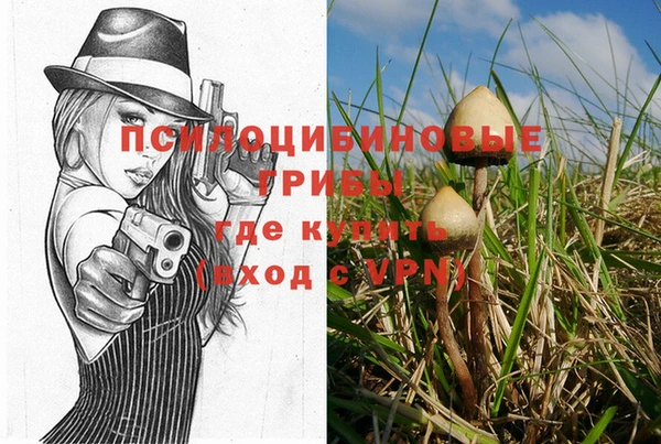 ALPHA PVP Каменногорск