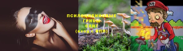 твердый Каменка