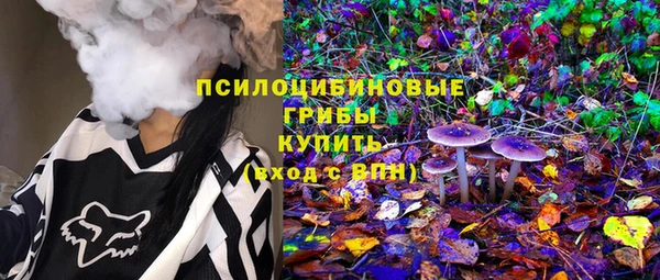 твердый Каменка
