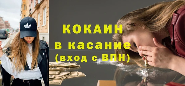 твердый Каменка