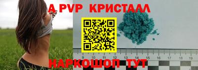 ПСИЛОЦИБИНОВЫЕ ГРИБЫ Коммунар