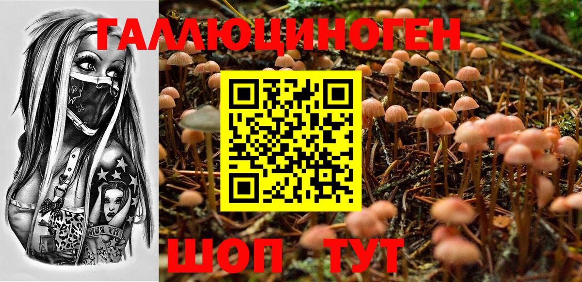 Галлюциногенные грибы мухоморы Октябрьский